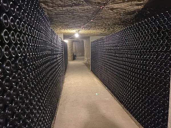 Visites guidées dans les vignobles du Val de Loire avec VinoLoire, une expérience unique en immersion dans le domaine de la viticulture