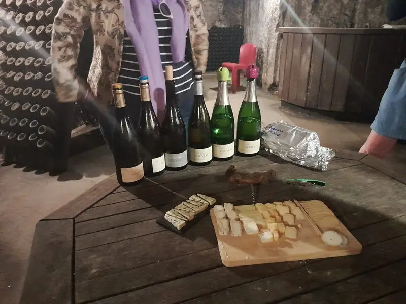 Visites guidées, expérience immersive au coeur des vignobles du val de Loire