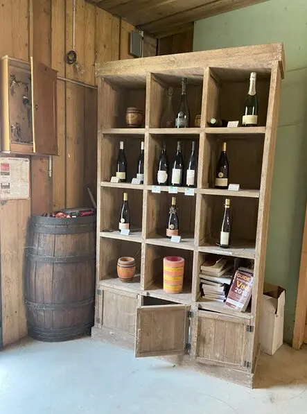 Visites guidées, expérience immersive au coeur des vignobles du val de Loire