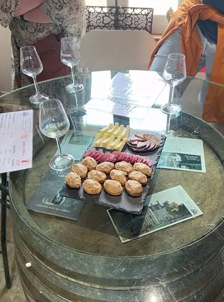 Visites guidées, vignobles du Val de Loire, Château Fontenay, dégustation vins rouges appellation de Touraine ou Chenonceaux