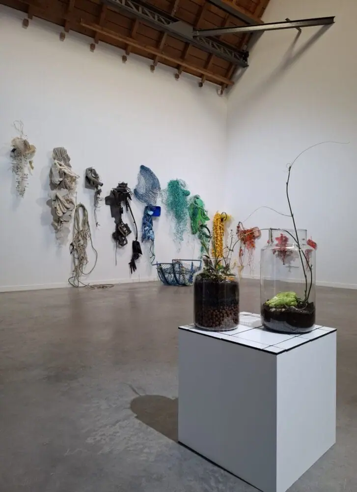 ensemble d'œuvres pour l'exposition d'Anais Dunn au Garage