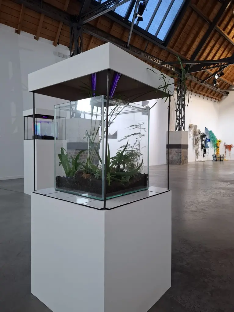 œuvre terrarium pour l'exposition d'Anais Dunn au Garage
